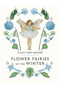 Flower Fairies of the Winter