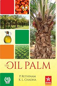 Oil Palm 