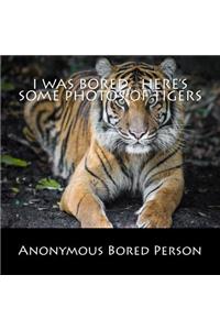 I was Bored. Here's Some Photos of Tigers