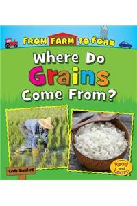 Where Do Grains Come From?