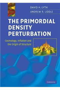 The Primordial Density Perturbation