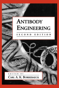 Antibody Engineering