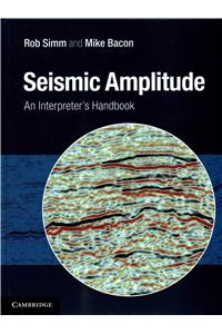 Seismic Amplitude