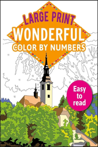 Large Print Wonderful Color by Numbers