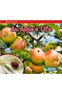 An Apple's Life