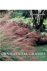 Ornamental Grasses