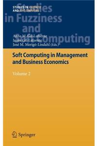 Soft Computing in Management and Business Economics