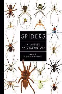 Spiders of the World