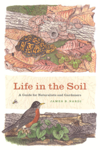 Life in the Soil