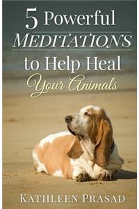 5 Powerful Meditations to Help Heal Your Animals