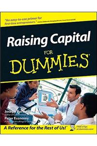 Raising Capital For Dummies