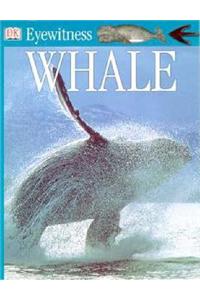 Whale