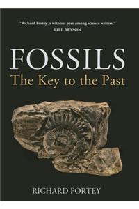 Fossils