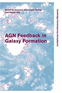 Agn Feedback in Galaxy Formation