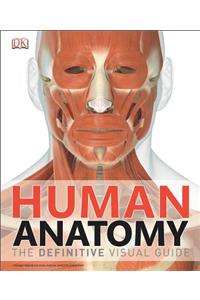 Human Anatomy