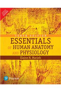 Essentials of Human Anatomy & Physiology, 10e