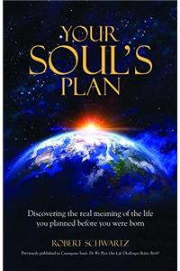 Your Soul's Plan: Discovering The Real Meaning Of The Life You Planned Before You Were Born