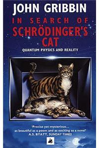 In Search Of Schrodinger's Cat