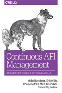 Continuous API Management