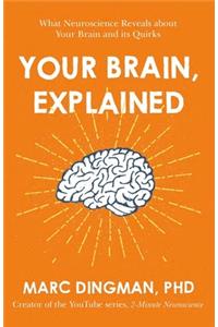 Your Brain, Explained