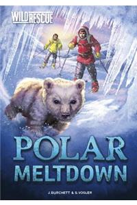 Polar Meltdown