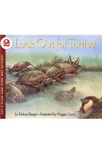 Look Out for Turtles!