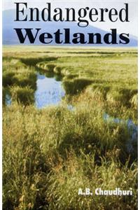 Endangered Wetlands