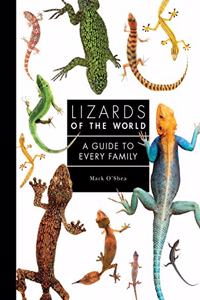 Lizards of the World