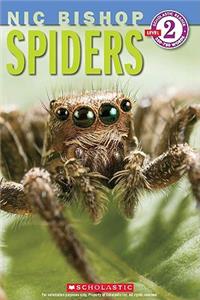 Spiders (Nic Bishop: Scholastic Reader, Level 2)