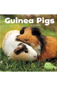 Guinea Pigs