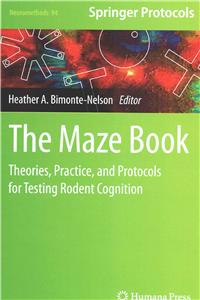 The Maze Book