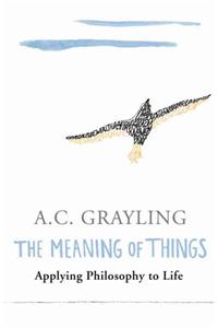 Meaning of Things