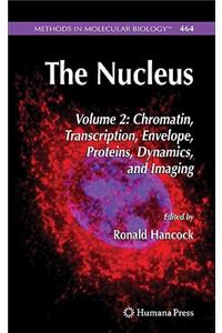 The Nucleus