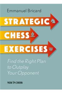 Strategic Chess Exercises