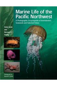 Marine Life of the Pacific Northwest