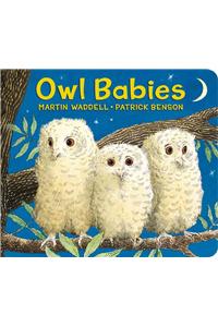 Owl Babies