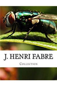 J. Henri Fabre, Collection