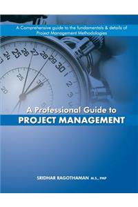 Professional Guide to Project Management