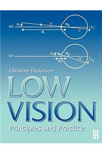 Low Vision