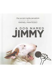 A Dog Named Jimmy