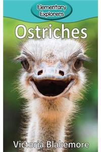 Ostriches