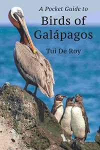 A Pocket Guide to Birds of Galapagos