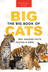 Big Book of Big Cats