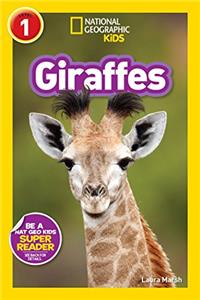 Giraffes