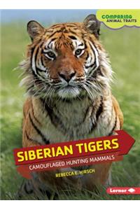 Siberian Tigers