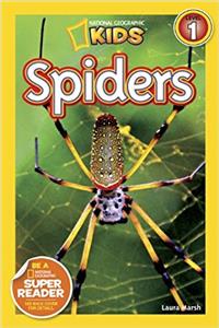 Spiders