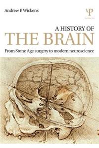 A History of the Brain