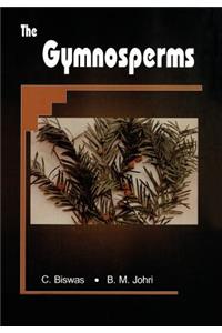 The Gymnosperms