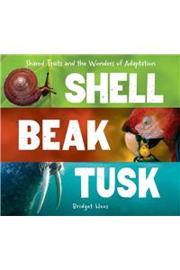 Shell, Beak, Tusk