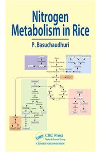 Nitrogen Metabolism in Rice